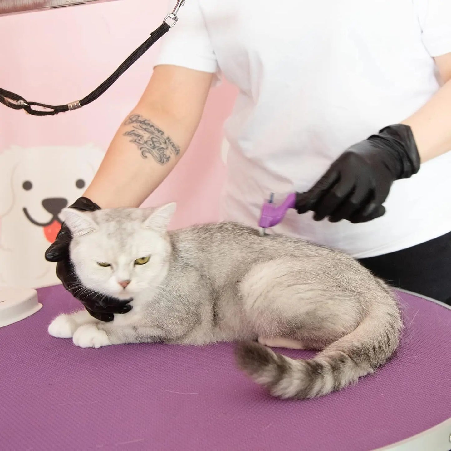 Black Disposable Vinyl Exam Gloves,100 Count Latex