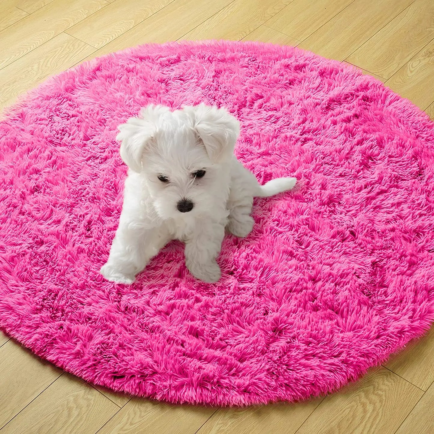 Round Thick Carpet Soft Rug
